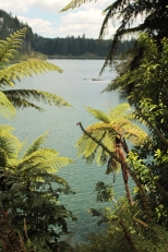 Lac Rotokakahi (Green Lake)