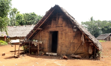 Maison du village de Fanafo